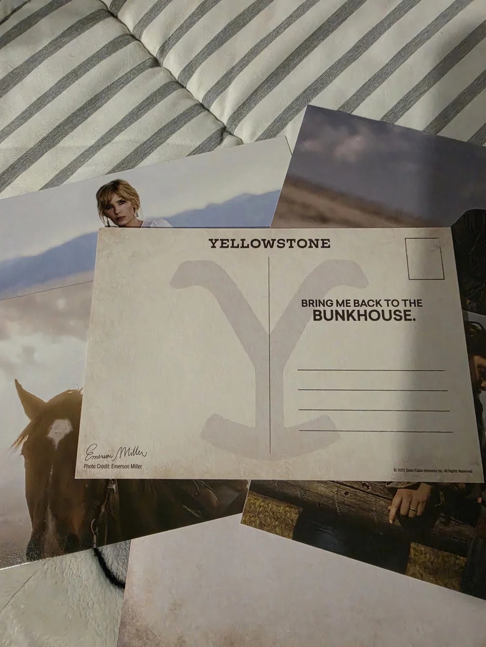 5 Postcard prints from Yellowstone Series